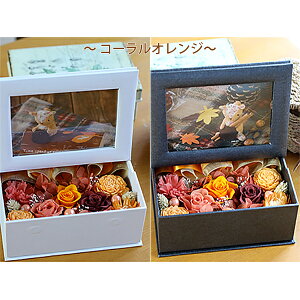 vU[uht[ ʐ^ j Mtg  v[g utHgt[̃t[{bNXv tHgt[ tHgX^h  d jd ސEj j a uU[h