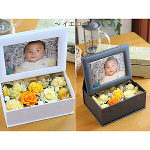 vU[uht[ ʐ^ j Mtg  v[g utHgt[̃t[{bNXv tHgt[ tHgX^h  d jd ސEj j a uU[h