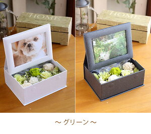 プリザーブドフラワーギフトフラワーフォトフレームのフラワーボックス(ヨコ型)写真立て【送料無料】【結婚式プレゼント退職祝い誕生日結婚祝いプリザーブドフラワーフォトフレーム】05P18Jun16