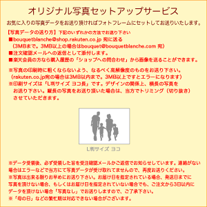 プリザーブドフラワーギフトフラワーフォトフレームのフラワーボックス(ヨコ型)フォトボックス写真立て【送料無料】【結婚式プレゼント退職祝い誕生日結婚祝いプリザーブドフラワーフォトフレーム】