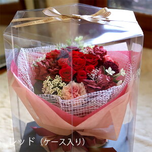 vU[uht[  v[g Mtg ԑ ut[Ev~Av wj u[P  e ԑ ʉ uU[ht[ ސEj j N a j Ԃ 