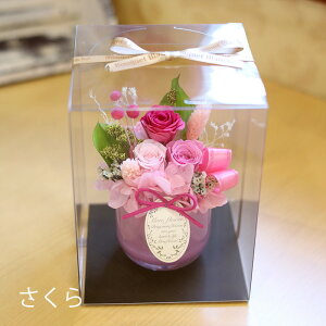 vU[uht[ Mtg  uN[vv v[g ̂ЂTCY a   Ȃ̓ j j Ԃ LO  ސEj j N uU[ht| y v