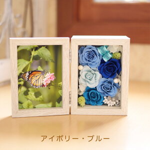 vU[uht[ ʐ^ j Ԃ {bNX Mtg  v[g utHgubNv  d jd uU[ht[ ސEj j N a tHgt[  ʐ^