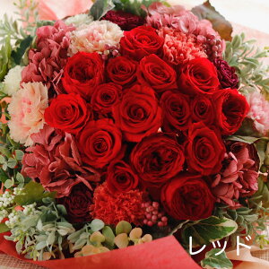 vU[uht[  v[g Mtg ԑ 傫 utBI[E_uv wj u[P  e ԑ ʉ uU[ht[ ސEj j N a j 