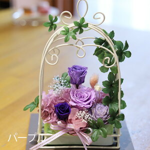 y vU[uht[ z  v[g Mtg uNAP[XtIȃK[fv uU[ht| Ê  P Ď    ސEj j N a j 