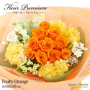 vU[uht[  v[g Mtg ԑ ut[Ev~Ait[eB[IWjv EFfBO  e ԑ ʉ uU[ht[ ސEj j a