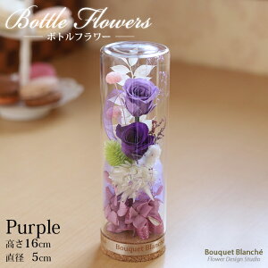 vU[uht[ ~j  Mtg v[g a     ~ ފ u{gt[ip[vjv  ʉ uU[ht[ ސEj j 