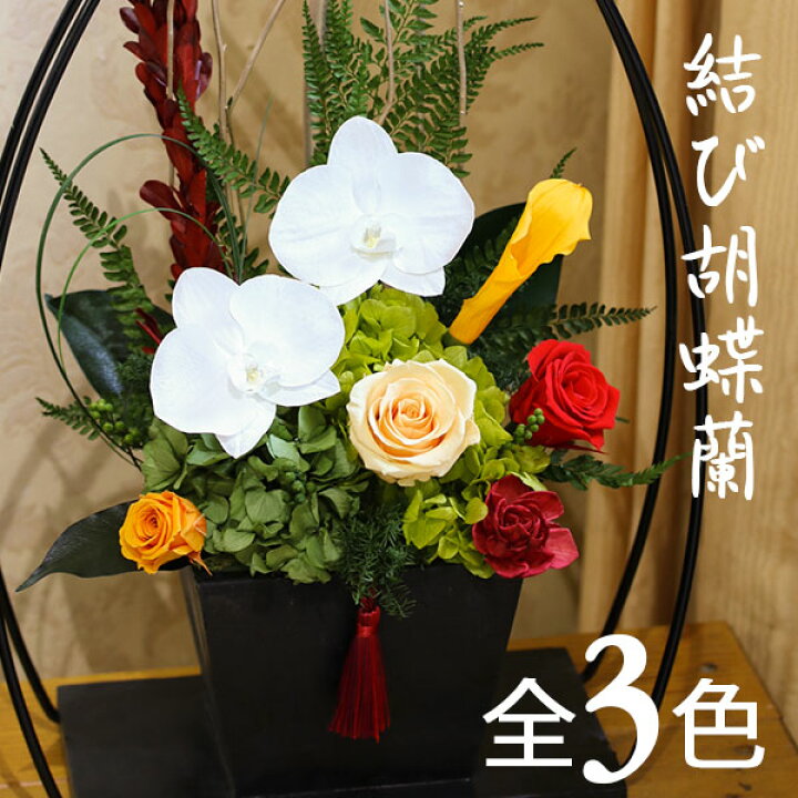 楽天市場 プリザーブドフラワー 花 ホワイトデー 胡蝶蘭 プレゼント ギフト 和風 大きい 結び胡蝶蘭 ブリザーブドフラワー ブリザードフラワー 古希 喜寿 傘寿 米寿 卒寿 白寿 祝い 結婚式 プレゼント 花 退職祝い 定年 誕生日 結婚祝い お供え プリザーブド