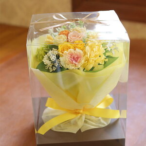 vU[uht[  v[g Mtg ԑ ut[EOiCG[jv wj u[P  e ԑ ʉ uU[ht[ ސEj j N a j