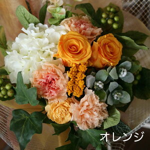 vU[uht[  v[g Mtg ԑ u[`Fv wj u[P   e ԑ ʉ uU[ht[ ސEj j N a j Ԃ y 