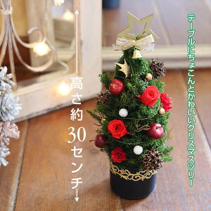 ミニクリスマスツリー 飾りの人気商品 通販 価格比較 価格 Com