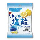 ミネラル塩飴 10袋セット