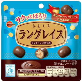 ひとくちラングレイス20袋（10袋×2） パウチ形態 昔ながらの 紫 懐かしい お菓子 おばあちゃん家 大好きおやつ とうとう ひとくちサイズに