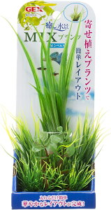 GEX WFbNX i MIXvc M VyX