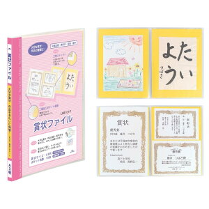 レイメイ藤井 賞状ファイル A3 ピンク LSB101P
