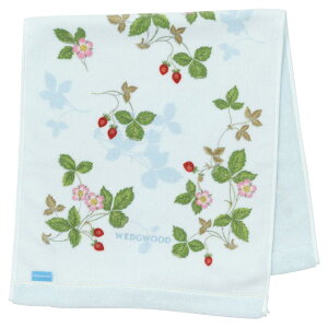 nishikawa �y ���� �z ���� �t�F�C�X�^�I�� 34X75cm �􂦂� ��100�� �E�F�b�W�E�b�h ���C���h �X�g���x���[ ���炩 ���{�� �u���[ TT23165601