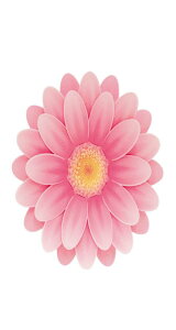 A^ F 񂹏  l bZ[W J[h ސE  E NX oCg  T[N   y i FB Fl j bZ[W  t 킢  TvCY vo v