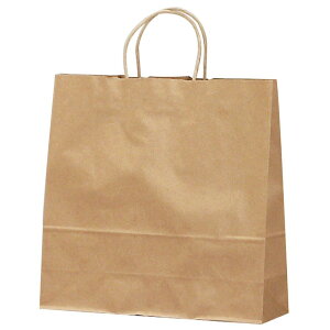 タカ印 ギフトバッグ 50-6201 手提げ 未晒無地 中 10枚