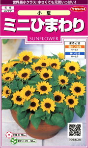 TJ^̃^l 5630 ~jЂ܂  00905630