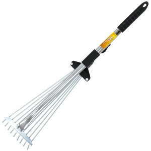 ߗ^(KONYO) R (konyo) t@~[c[ Lk~jK[f[L F