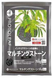 vg[t }`OXg[(ubN)S 700g