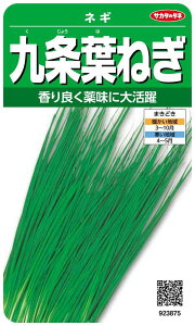 TJ^̃^l 3875 t˂ lM 00923875