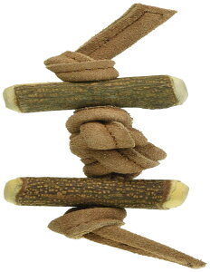 }J GONTA CLUB ݂؃vX v S