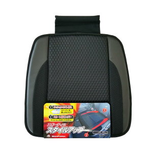 �{���t�H�[��(BONFORM) �V�[�g�N�b�V���� �x�[�V�b�N�X�^�C�� �q�b�v�^ �X�J�[�g�t 45x45cm �u���b�N 5748-43BK