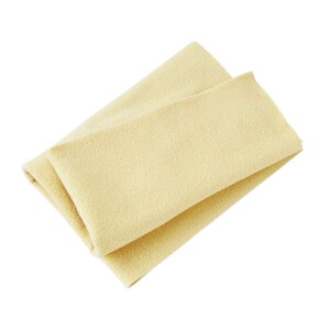 Freedom Custom Guitar Research SP-P-10 |bVNX (t[_)