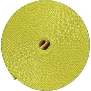 TRUSCO(gXR) iCx 1.6t×30mm×5m F TNB305-Y