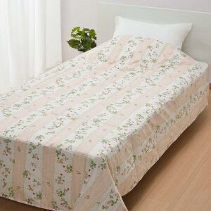 nishikawa y  z _EPbg (Hє|zc) VO EFbWEbh ChXgx[ _E50% 􂦂 sN AA07100003P