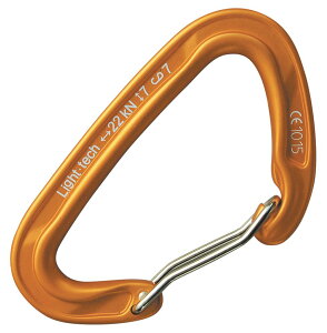 roc�fteryx(���b�N�e���N�X) ���C�g�e�b�N ���X�g LT AMG11090WG