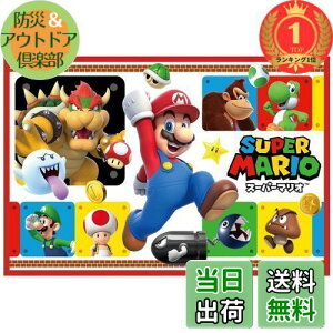 yzyyVLO1ʊlzXP[^[(Skater) W[V[g STCY 60×90cm X[p[}I 23 VS1-A