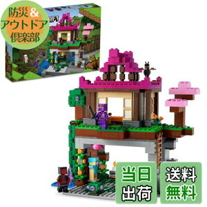 yzS(LEGO) }CNtg P 21183  ubN v[g erQ[   j̎q ̎q 8Έȏ
