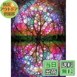 yz5D _ChGADIY_ChA[gLbgANX^CXg[h?ʐ^AƂ̕ǂ̑̂߂̃A[gNtgAJtȕi̖؁i30*40 cmj