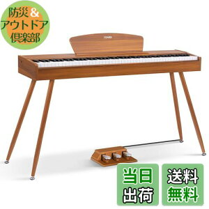 yzDonner dqsAm 88 n}[ANbV 3{y_ X^h A_v^[t { F DDP-80