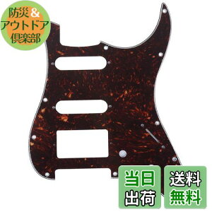 yzMusiclily Pro 11 SSH XggpsbNK[hAmerican StratXggLX^[GLM^[pA4Pꈍb