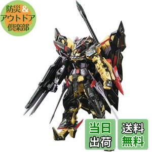 【送料無料】RG 機動戦士ガンダムSEED ASTRAY ガンダムアストレイ ゴールドフレーム天ミナ 1/144スケール 色分け済みプラモデル