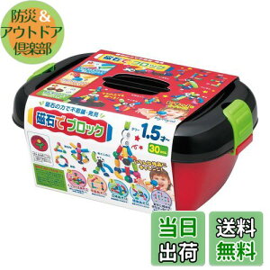 【送料無料】トイローヤル 磁石でブロック ( ブロック遊び / 収納ボックス付き ) 知育玩具 赤ちゃん おもちゃ ( 磁石でくっつく / 創造力 ) 幼児 グットトイ 立体遊び 想像遊び