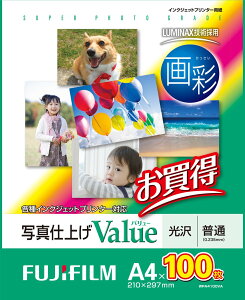 yzFUJIFILM ʐ^p   A4 100 WPA4100VA