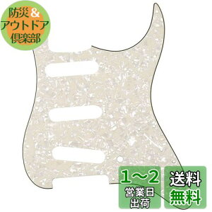 yzMusiclily 11 SSS XggsbNK[hFender USA/LVRX^_[hSTXggLX^[GLM^[pA4Pp[`gp[