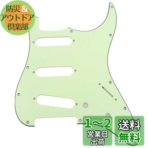 yzMusiclily 11 SSS XggsbNK[hFender USA/LVRX^_[hSTXggLX^[GLM^[pA3P~g