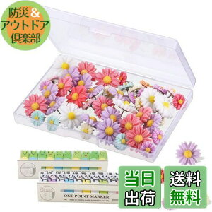 【送料無料】RuiChy プッシュピンタック ストレージ ボックス 付き 装飾 フラワ フラワーサムタック サム タック カラフル マーキングピン ホワイト ボード コルク ボード 写真 壁 地図 掲示板