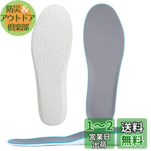 yz[Kozzim] V[Nbg C\[ ~ Ռz gAbv Iׂ鍂3TCYy1.5cm/2.5cm/3.5cmz