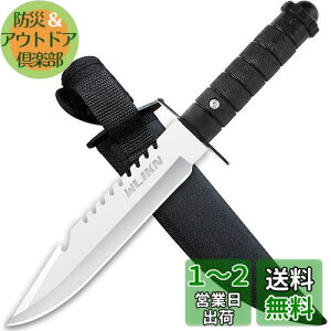 yzWlikn V[XiCt ToCoiCt S280mm AEghA ނ d  o[xL[ Lv P[Xt