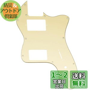 yzMusiclily Pro 12 eLX^[sbNK[h Jo[h2n}EgdlFender American/Mexican 72 Tele Thinline GLM^[pAN[3P