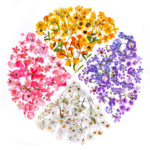 yzYOVOY 164 R[W f V[ ԃV[Zbg t[NV[ XebJ[ e    A 蒠fރXebJ[ KXrƉ