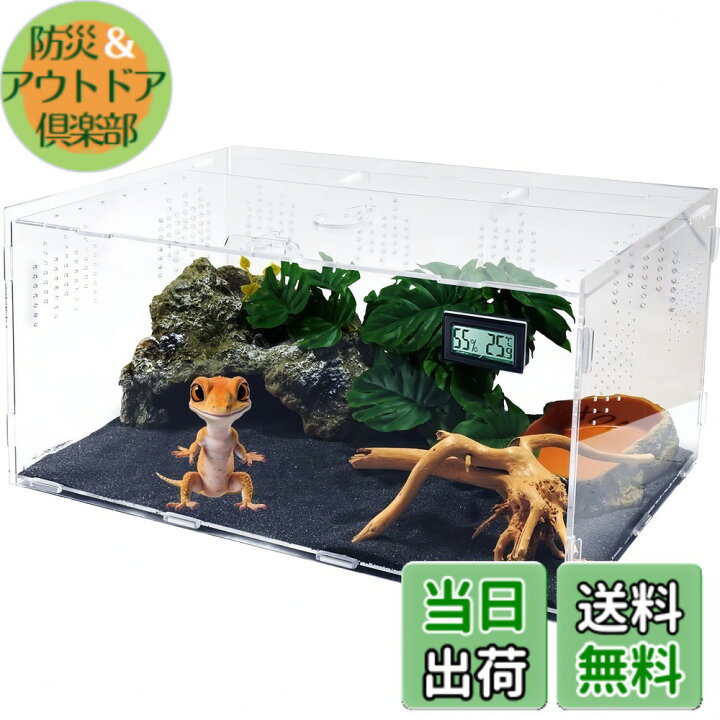 楽天市場】【送料無料】Niesporek 爬虫類 トカゲ ケージ カナヘビ飼育 