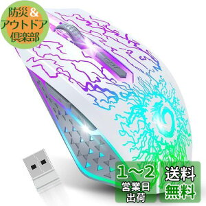 yzVersionTECH. CX}EX 2.4GHz }EX USB[d 7F RGBCg x 3iDPI߉ 6{^ Q[}EX y PC bvgbvȂǑΉ zCgmsAn