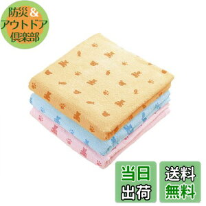 yzKosugizen oX^I poX^I N} 3Fe1 60×120cm ₷^Cv ܂Ƃ߂Ă 3Zbg ST-5808-3